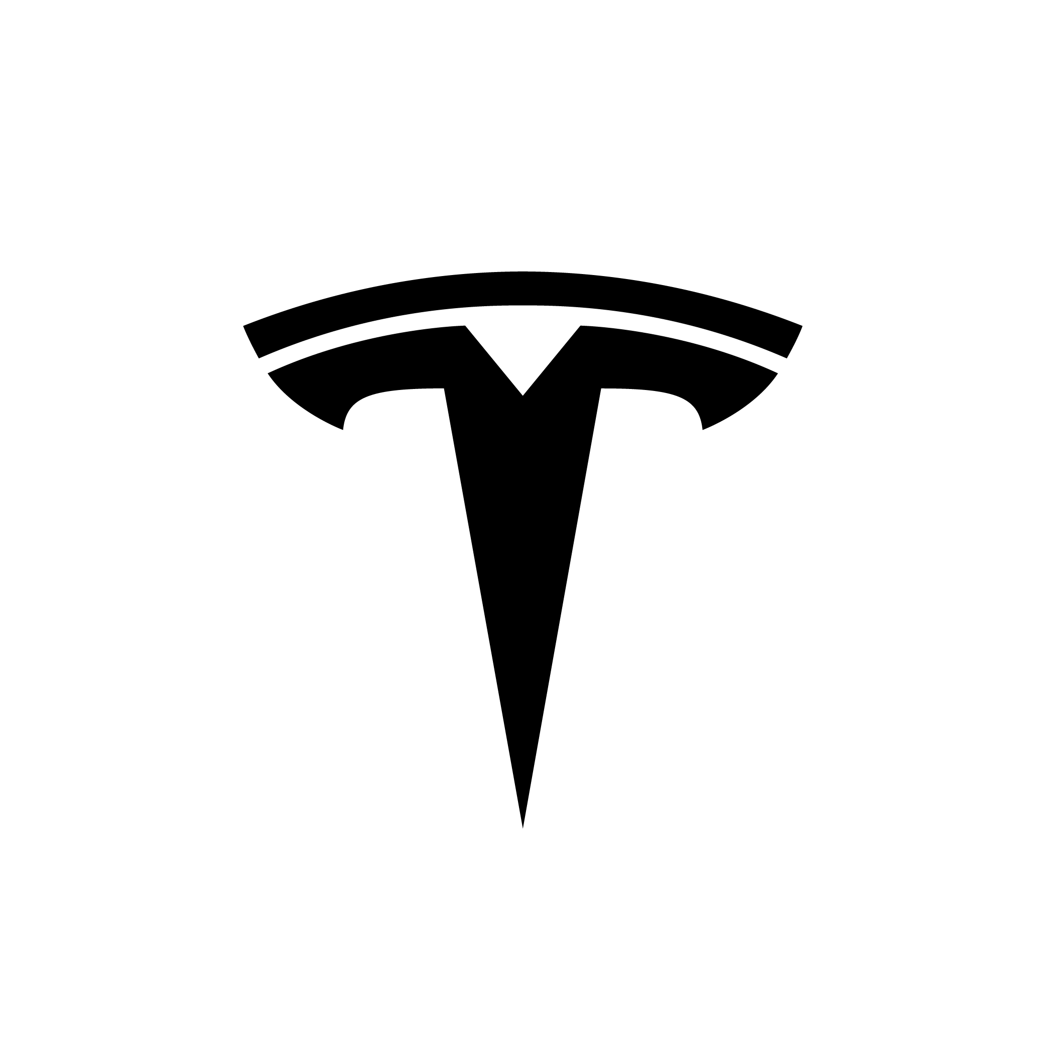 Tesla logo